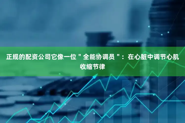 正规的配资公司它像一位＂全能协调员＂：在心脏中调节心肌收缩节律