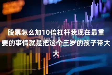 股票怎么加10倍杠杆我现在最重要的事情就是把这个三岁的孩子带大