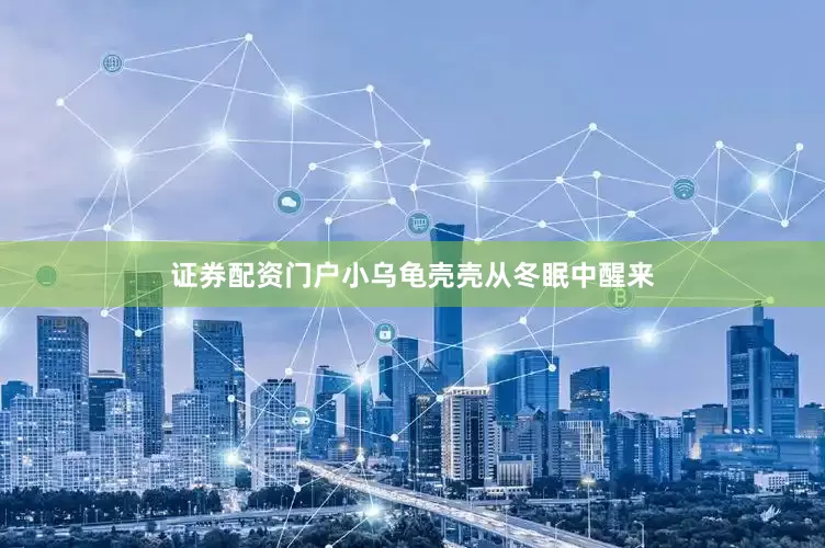 证券配资门户小乌龟壳壳从冬眠中醒来