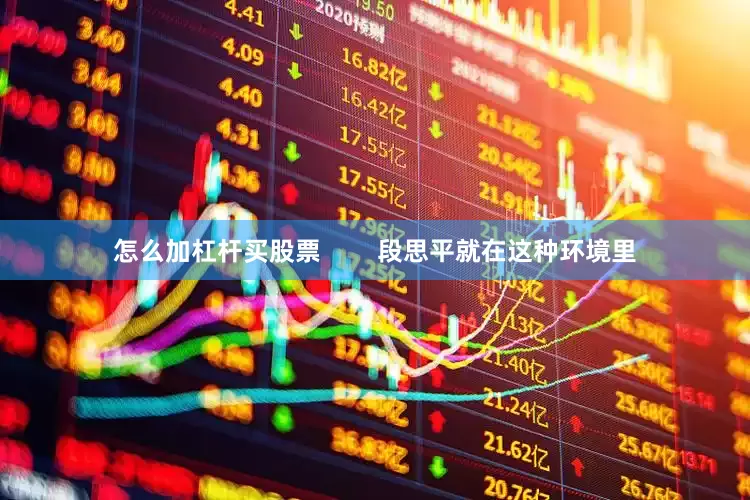 怎么加杠杆买股票        段思平就在这种环境里
