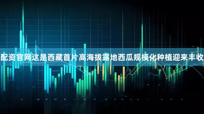 配资官网这是西藏首片高海拔露地西瓜规模化种植迎来丰收