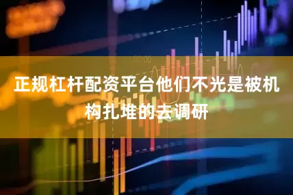 正规杠杆配资平台他们不光是被机构扎堆的去调研